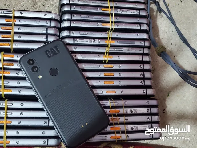 Cat Other 128 GB in Sana'a