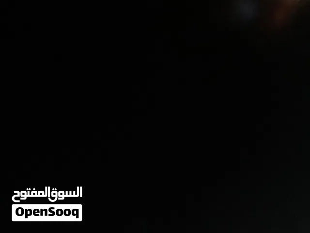 مطلوب كلب أين نوع للتبني ضروري