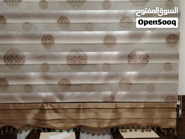 برادي زيبرا