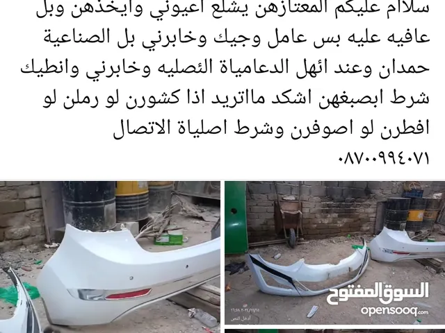 Exterior Parts Body Parts in Basra
