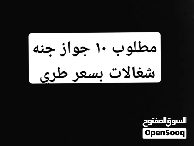مطلوب 10 جواز جنه شغالات
