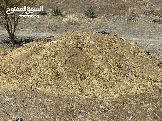 سماد غنم للبيع