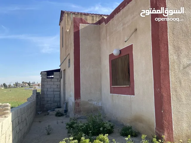 محمد انس كراد