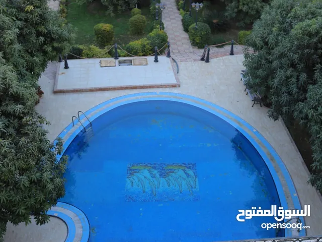 500 m2 More than 6 bedrooms Villa for Rent in Ismailia Fayed