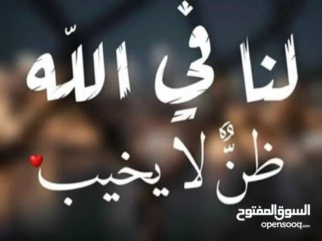 هاله حسن صالح يوسف