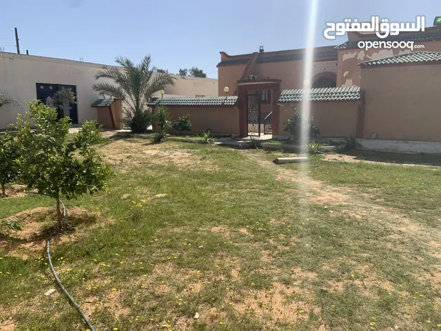 800 m2 4 Bedrooms Townhouse for Rent in Jafara Other