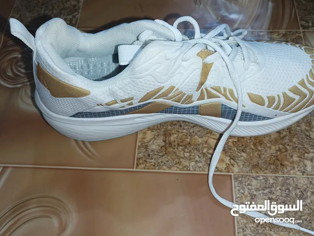 40 Sport Shoes in Basra
