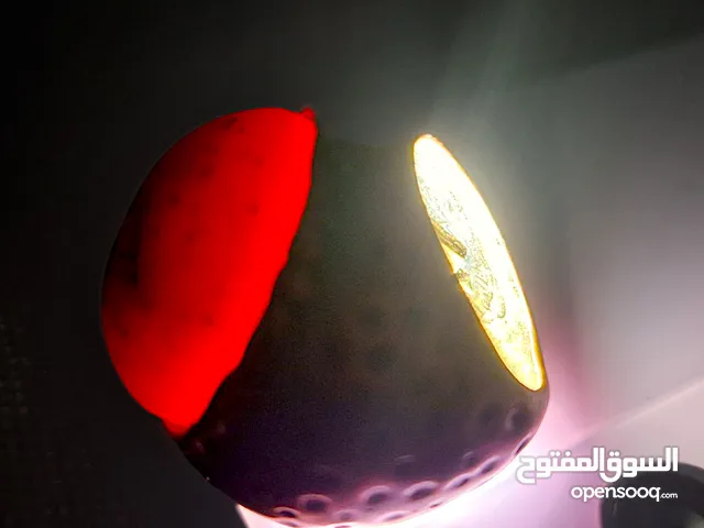 خاتم نسائي أنيق من ماركة MANGO الأصلية – تصميم فاخر وحجر مميز