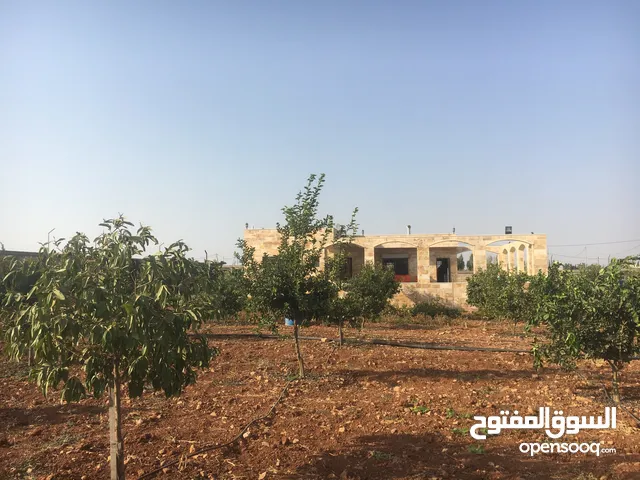 3 Bedrooms Farms for Sale in Madaba Al-Faisaliyyah