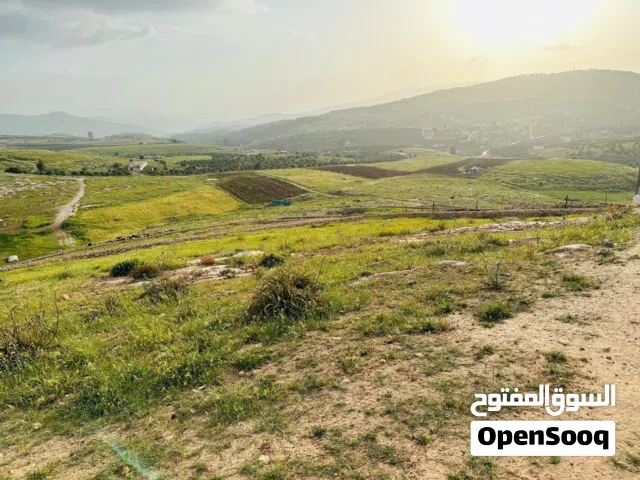 Mixed Use Land for Sale in Jerash Unaybah