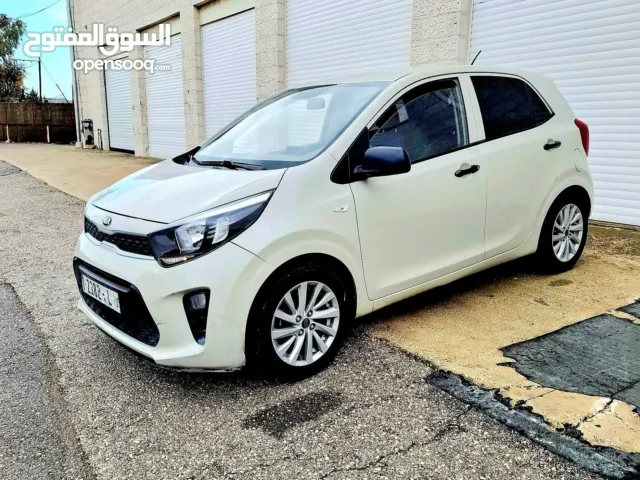 كيا بيكانتو 2019 عداد قليل 31