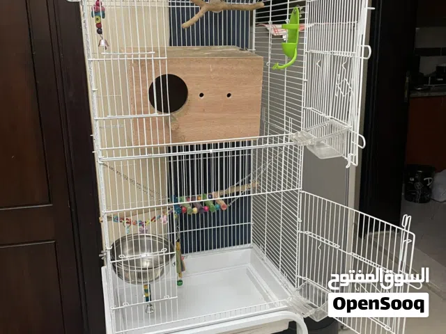 Parrot cage