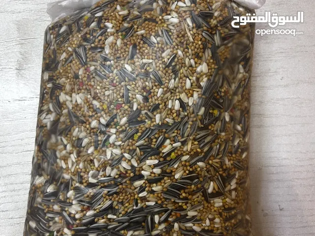 حبوب الكروان للطيور بسعر ممتاز الكليو ب8ریالفقط