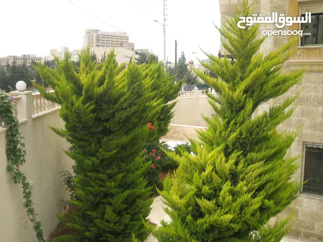 شقة موقع استراتيجي للبيع سكنية وتصلح استثمارية للتاجير لطلاب الجامعات العرب