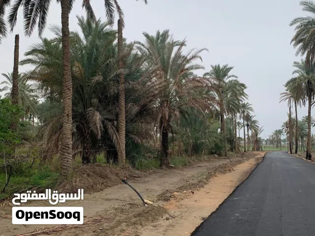 Mixed Use Land for Sale in Najaf Kufa