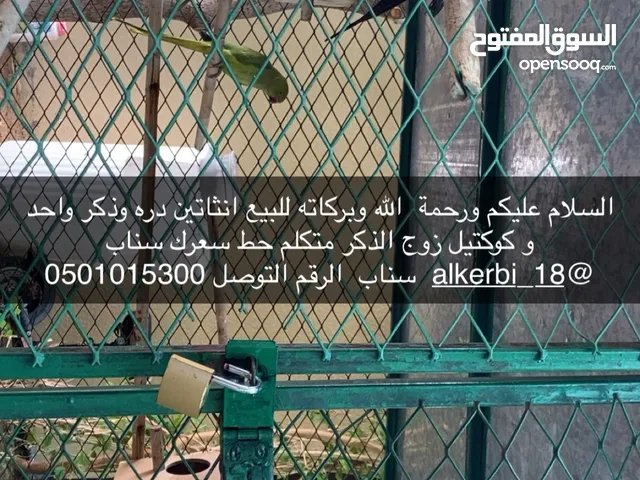 نهيان الكتبي