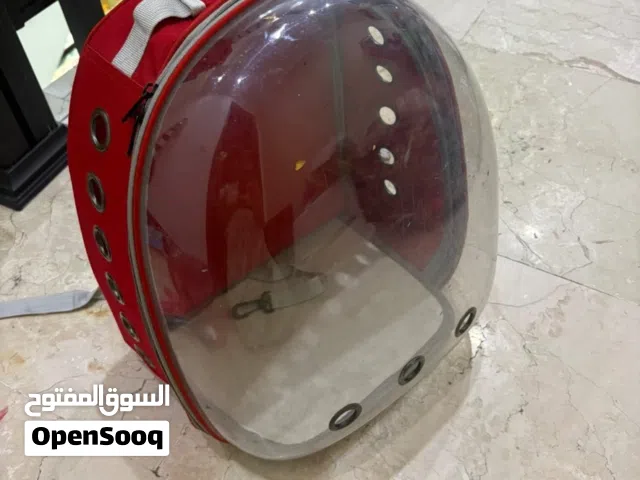 مستلزمات قطط