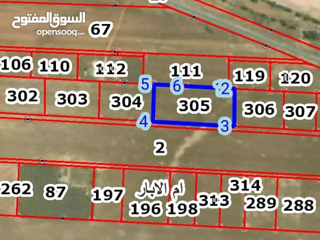 ارض بالسايبر سيتي