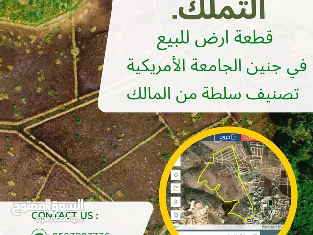 3 دنمات للبيع في الامريكية-جنين عند الالتفافي