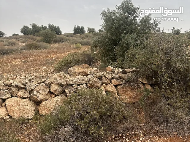 قطعة ارض منطقة نادرة - ام رمانة شرق جرش موقع هادئ وجميل جدا
