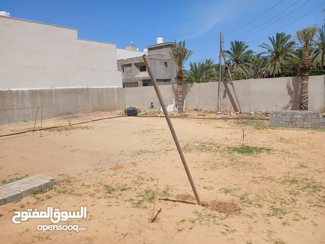 ارض للاجار