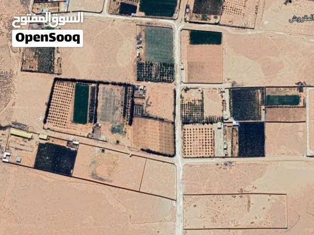 Farm Land for Sale in Bani Walid Other