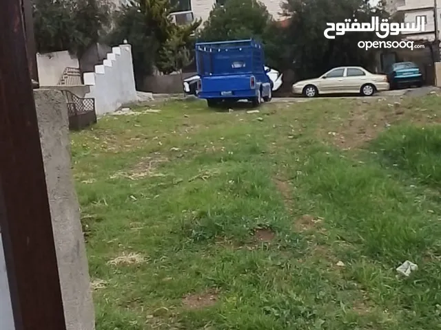 Toyota Hilux 1976 in Amman