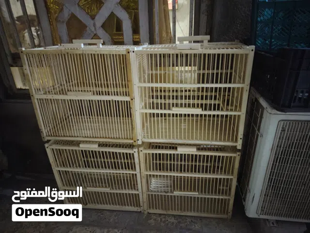 السلام عليكم يوجد لدينا اقفاص بلابل للبيع قياسات ارتفاع 50 ولواجه50 ولنزال 30 البصره الجزيره الفيحاء