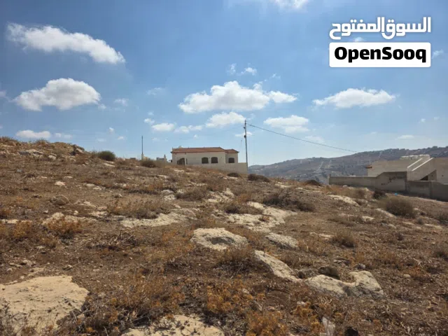 Residential Land for Sale in Zarqa Birayn
