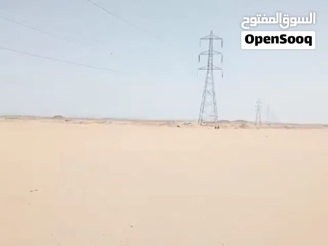 Farm Land for Sale in New Valley Dakhla