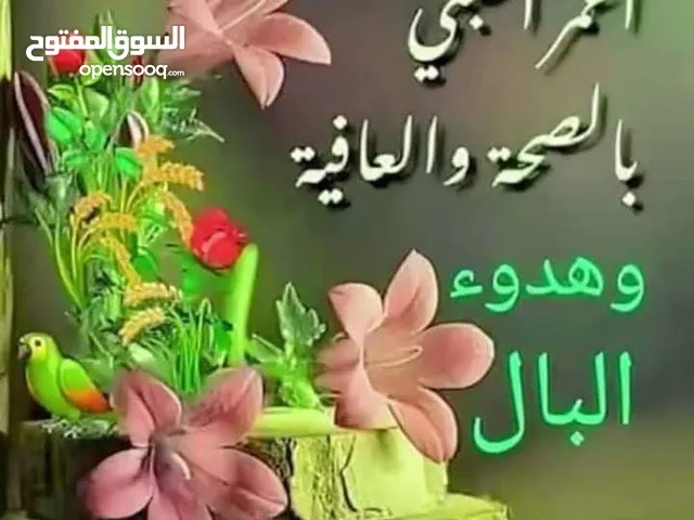 مطلوب ممول وشريك