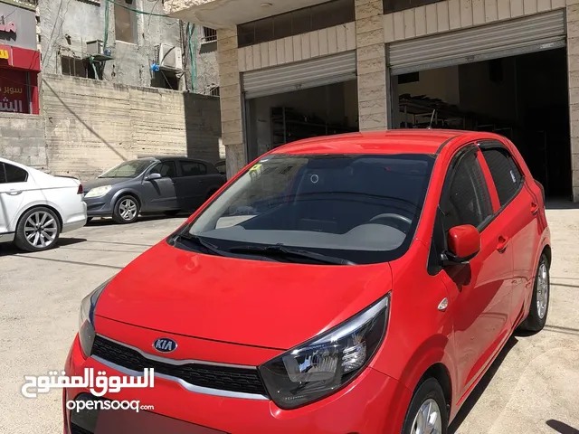 مورنينج بالكراتين بلون مميز