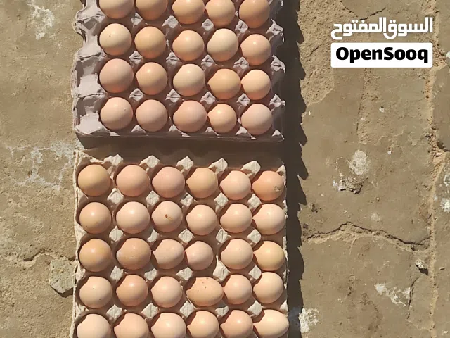 دحي برهما استورلي ماخصاب