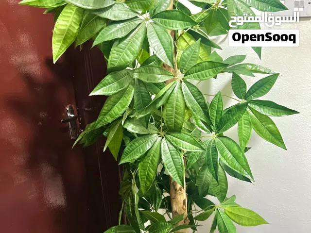 شجرة صناعية للتزيين