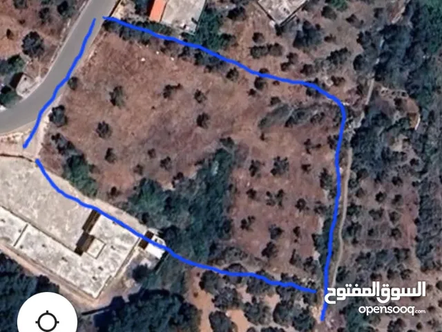 Residential Land for Sale in Tartous Safita