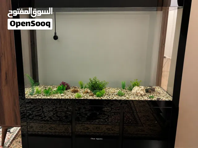 حوض سمك كبير