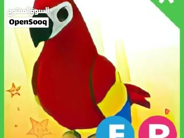 FR Parrot Adopt Me! I Cheap $ Trusted I Roblox