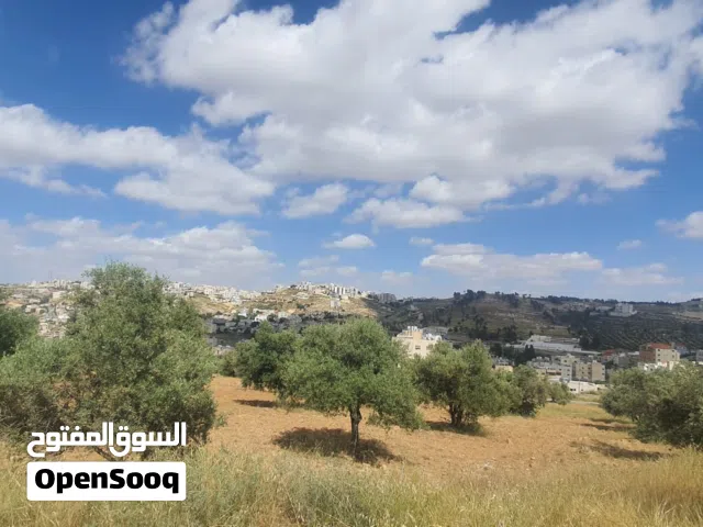 ارض للبيع في ناعور حي الشهيد بسعر مميز  عند تمويلكم ناعور