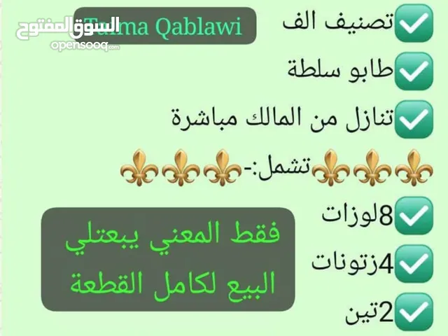 قطعة ارض للبيع 6 دنمات حوض الزبابدة التنازل مباشر من المالك الدفع ع الكاش فقط لا يوجد تبديل او اقساط