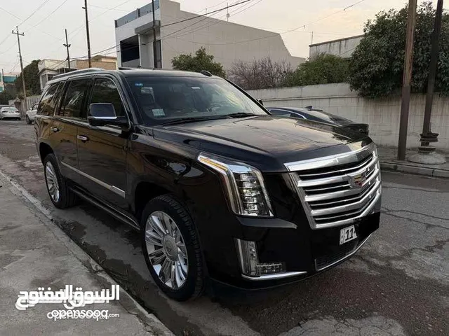 كاديلاك اسكاليد 2019 بلاتينيوم خليجي وكالة المنصور
