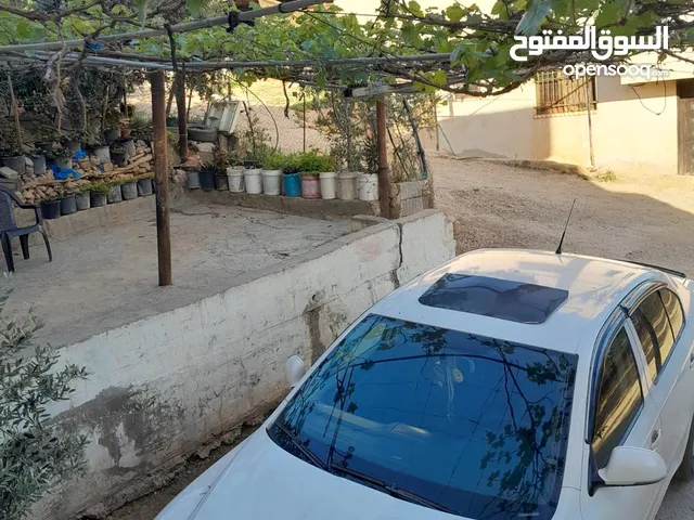 سكودا رمش 2010