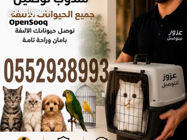 مندوب توصيل يومي وفوري وسريع