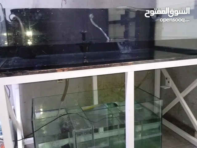 حوض سمك كبير