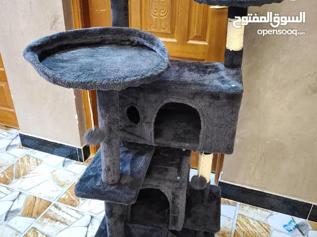 بيت قطط للبيع مستعمل نظيف