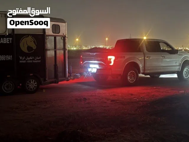 نقل خيل داخل وخارج الكويت  خدمة VIP