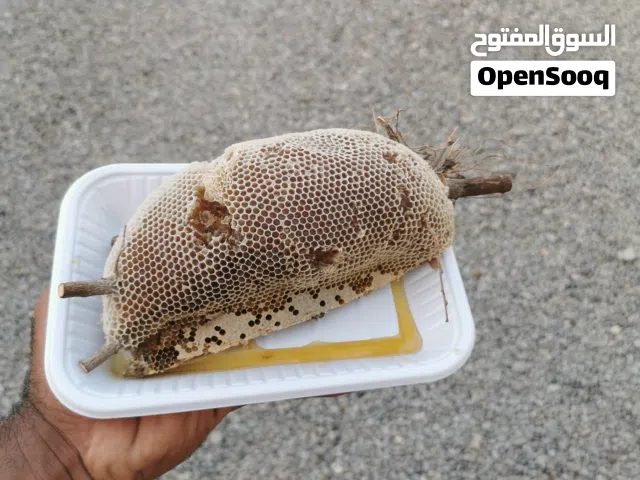عسل برم جديد