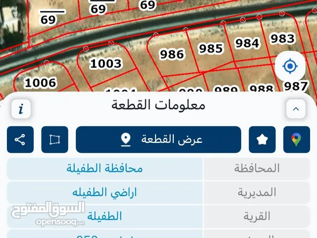 Residential Land for Sale in Tafila Al-Ayes