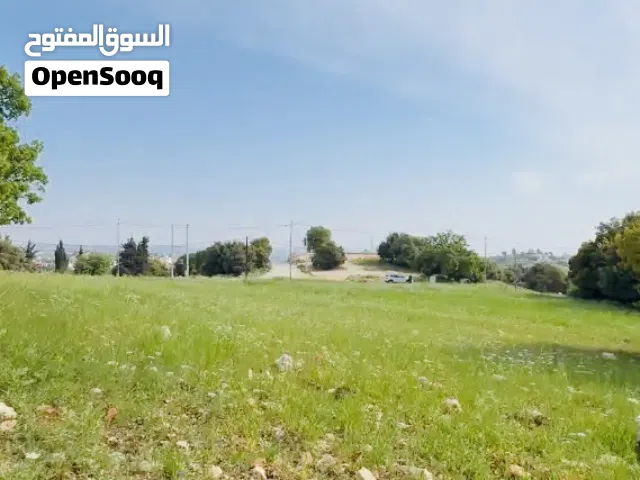 Residential Land for Sale in Amman Badr Jdedeh