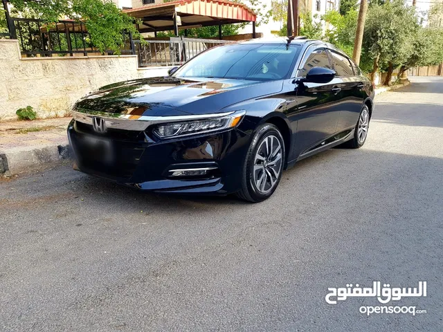 Honda Accord in Amman