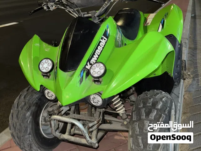 2011 Kawasaki KLX110